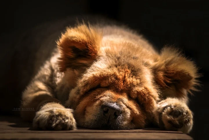 Fotó: Klausz Tamás