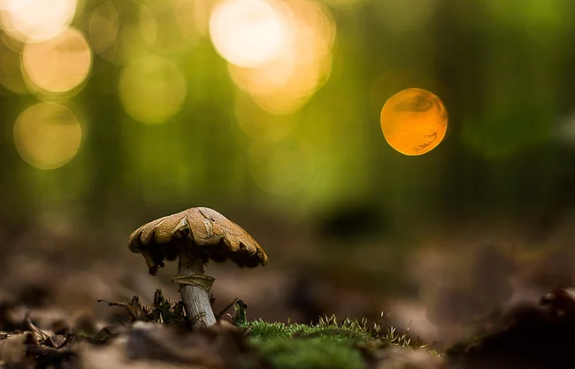 barthairennationalgeographicnapkepe