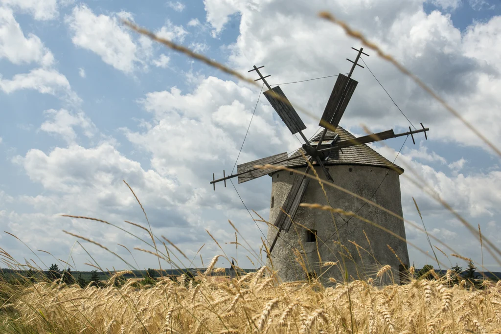 Pauer Katalin Letortseg kicsinyitett