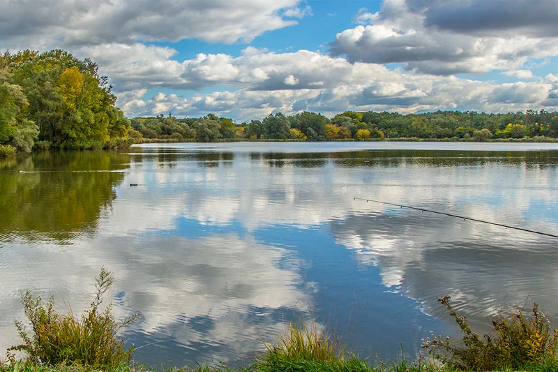 drrennerkurdiharmoniakozonsegdijas