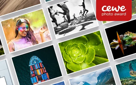 cewe te halfsize cewe photo award