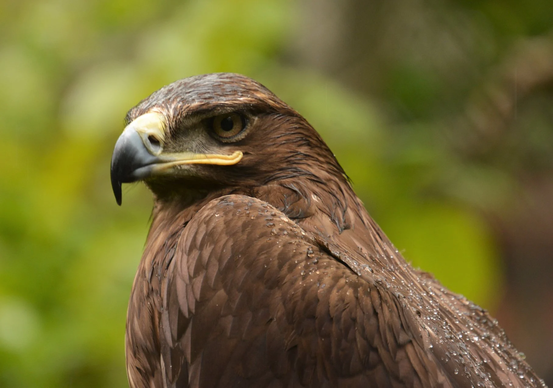 Természetfotó — 5. gyakorlat