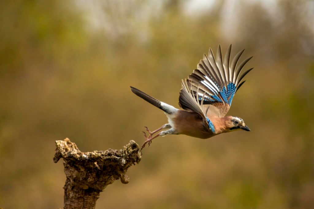 A Fotó Art Fotósiskola tanítványának Fiel Gergelynek a fotója
